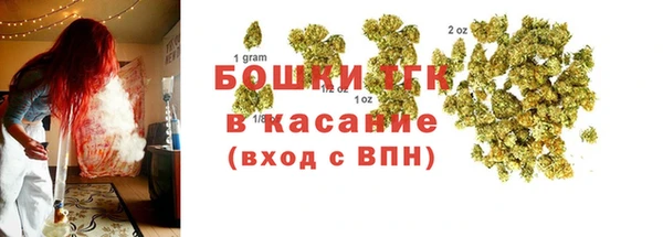 сатива Аркадак