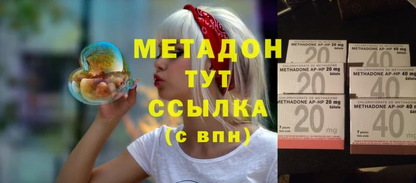 сатива Аркадак